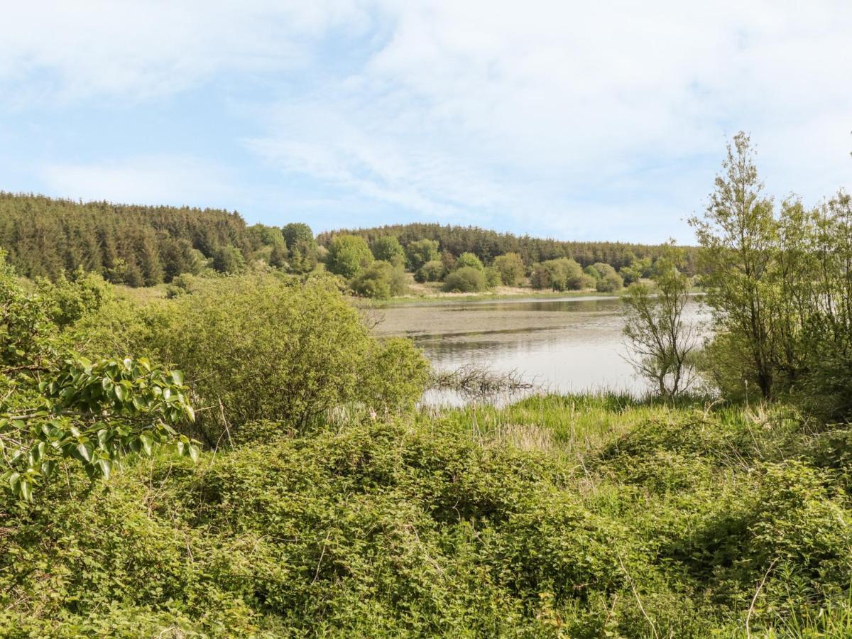 Bwlch Y Gwynt Bach Villa Llangefni Ngoại thất bức ảnh